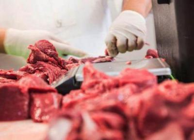 مقصر گرانی گوشت کیست؟