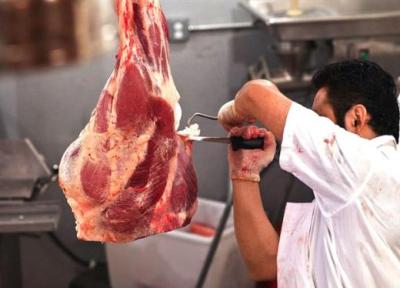 تخصیص ارز 4200 تومانی برای فراوری گوشت ادامه دارد