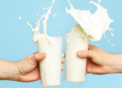شیر کم چرب یا پرچرب، کدام بهتر است؟