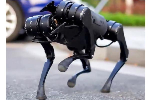 سگ رباتیکی که تنها در مدت 20 دقیقه عبور از زمین های سخت را یاد می گیرد