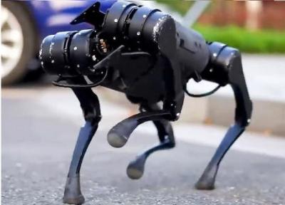 سگ رباتیکی که تنها در مدت 20 دقیقه عبور از زمین های سخت را یاد می گیرد